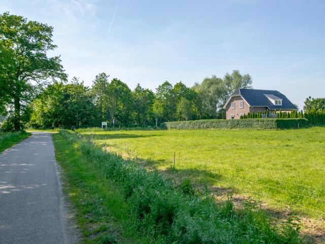 Immediate Surroundings (<1 km)