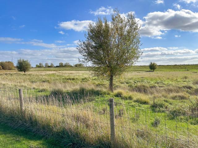 Uitzicht van vakantiehuis