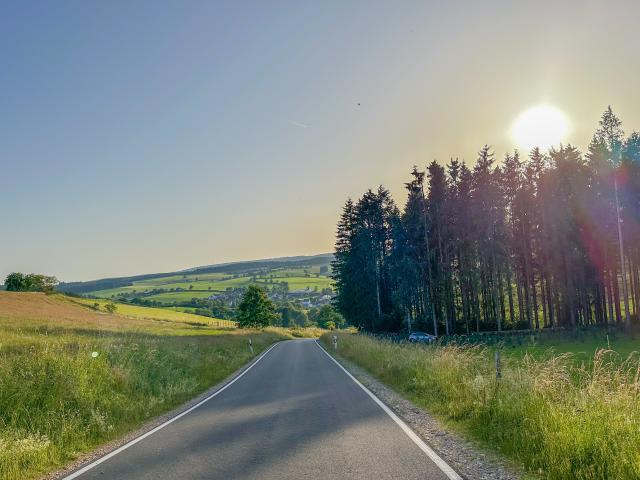 Immediate Surroundings (<1 km)