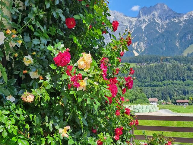 Aussicht vom Ferienhaus