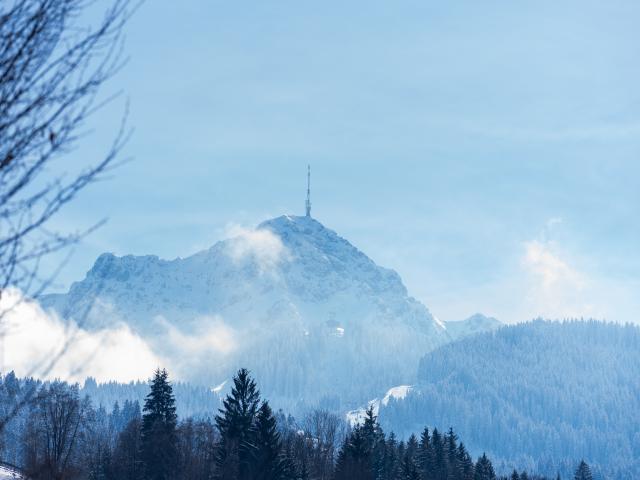 Immediate Surroundings (<1 km)