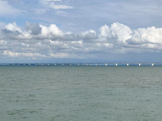 Immediate Surroundings (<1 km)