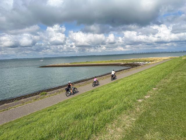 Immediate Surroundings (<1 km)