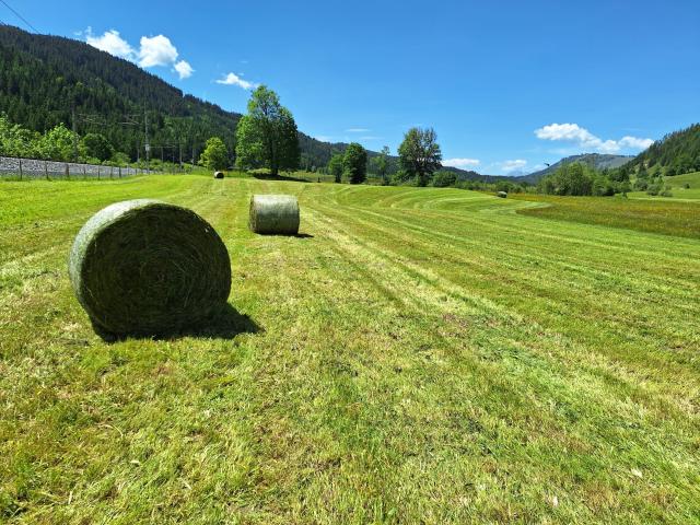 Dans les environs (1-5 km)