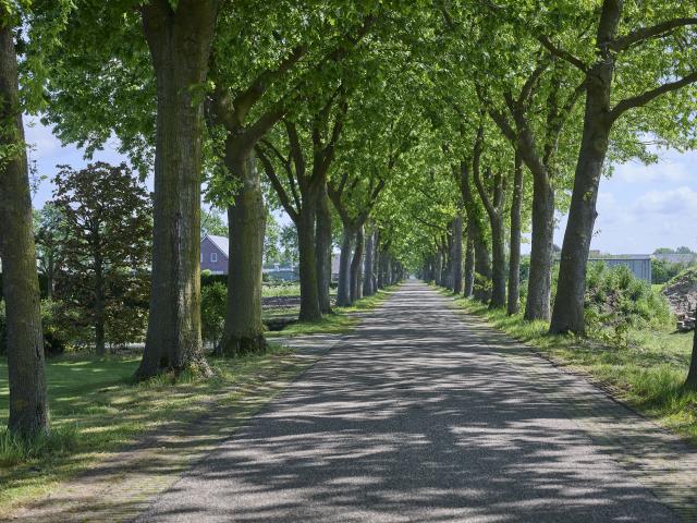 A proximité directe (<1 km)