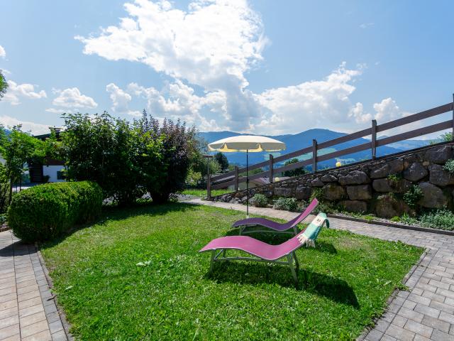 Tuin