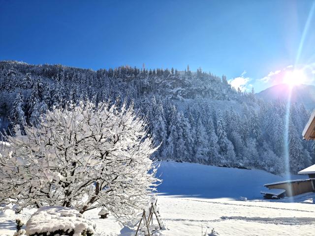 Uitzicht van vakantiehuis
