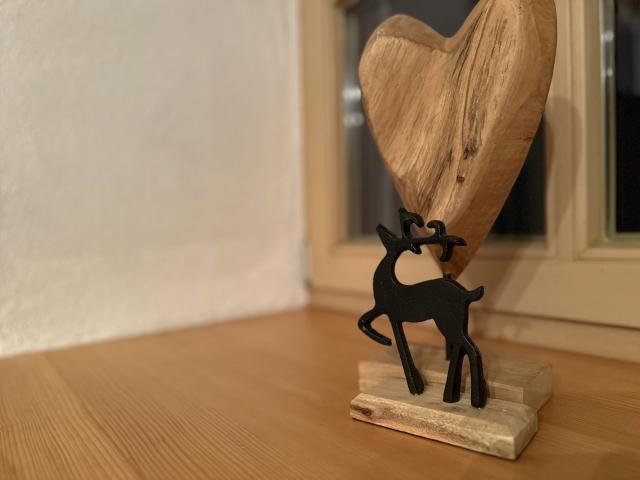 Ambiance / plan rapproché