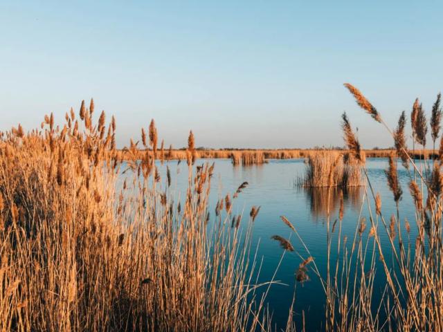 Dans les environs (1-5 km)