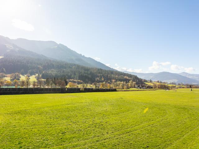 Aussicht vom Ferienhaus