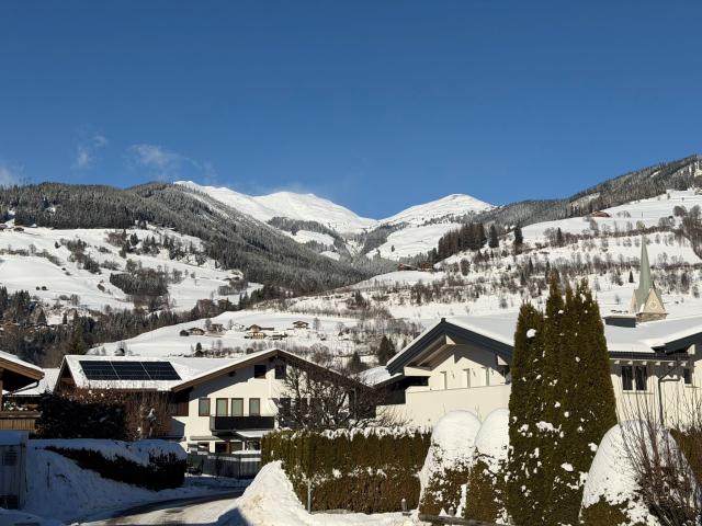 Immediate Surroundings (<1 km)