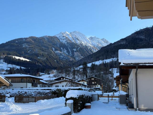 Immediate Surroundings (<1 km)