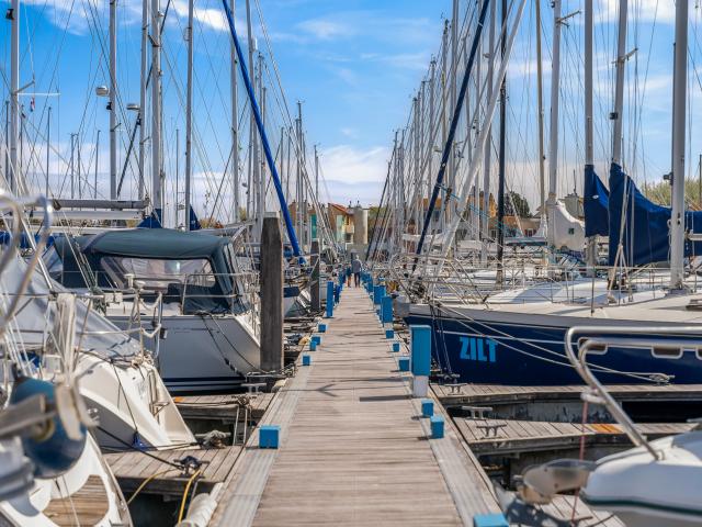 Aussicht vom Ferienhaus
