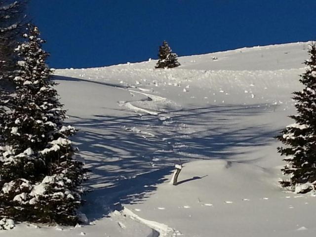 Dans la région (>5 km)