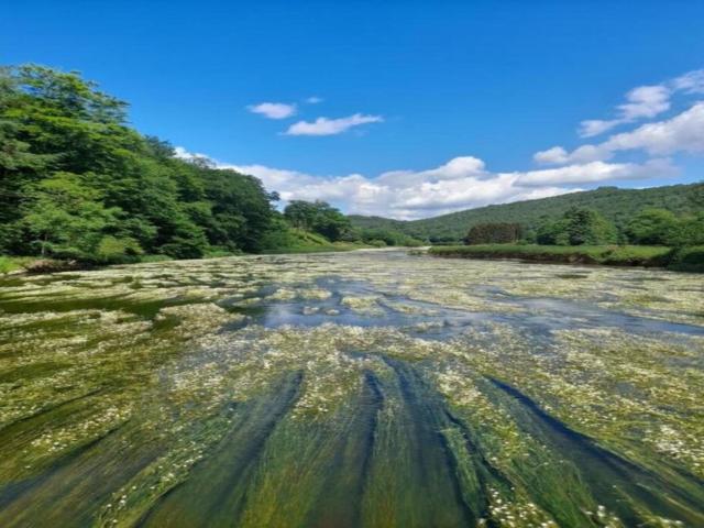 A proximité directe (<1 km)