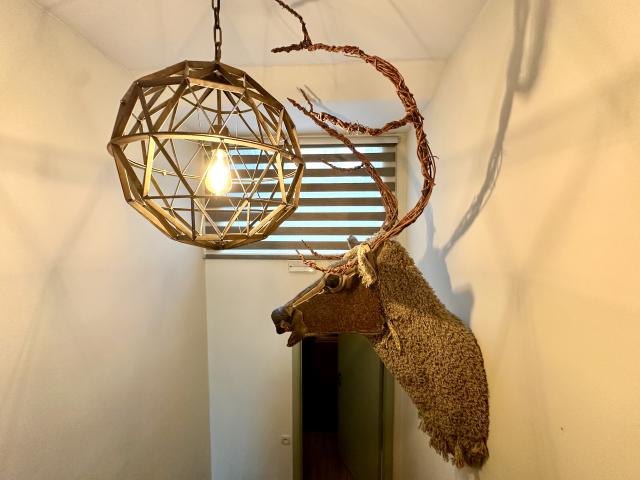 Ambiance / plan rapproché