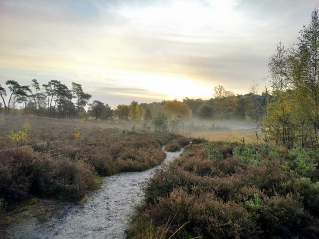 Directe omgeving (<1 km)