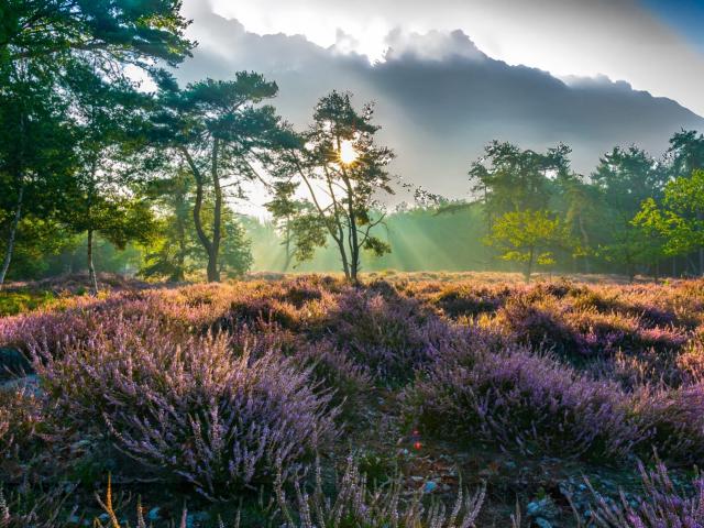 Directe omgeving (<1 km)