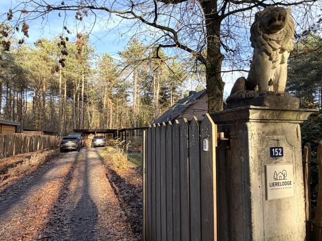 Ambiente / Nahaufnahme