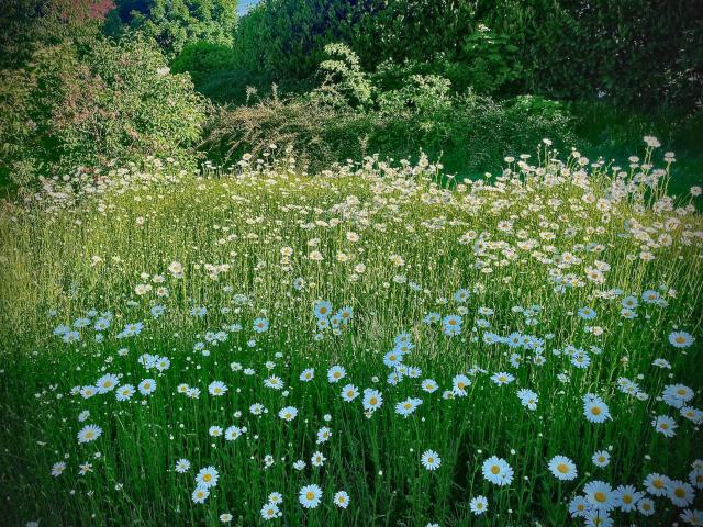 Aussicht vom Ferienhaus