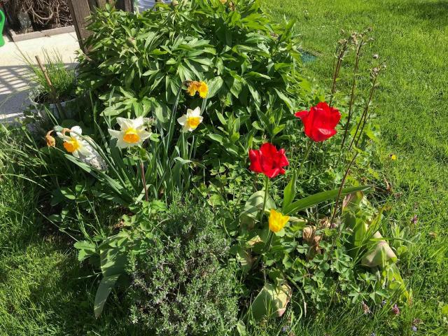 Ambiente / Nahaufnahme