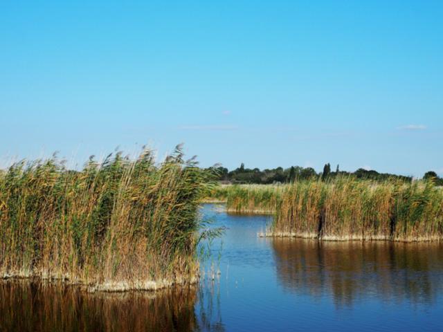 Umgebung (1-5 km)