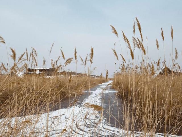 In der Region (>5 km)