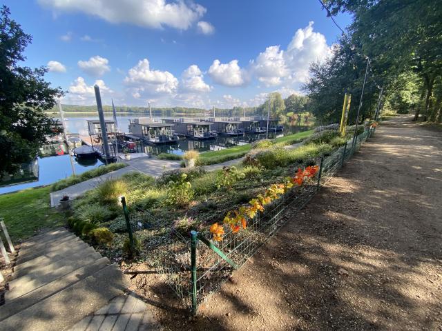 A proximité directe (<1 km)