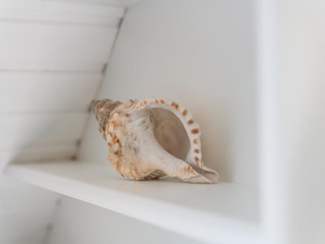 Ambiente / Nahaufnahme