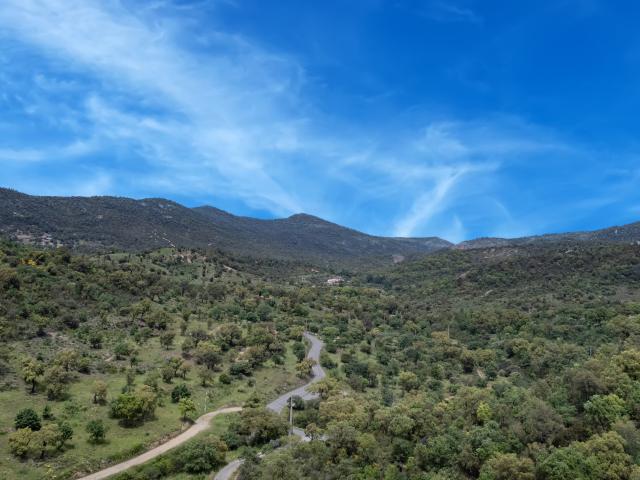 Directe omgeving (<1 km)