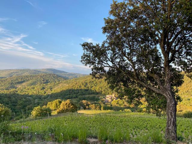 Directe omgeving (<1 km)