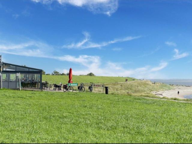 Immediate Surroundings (<1 km)