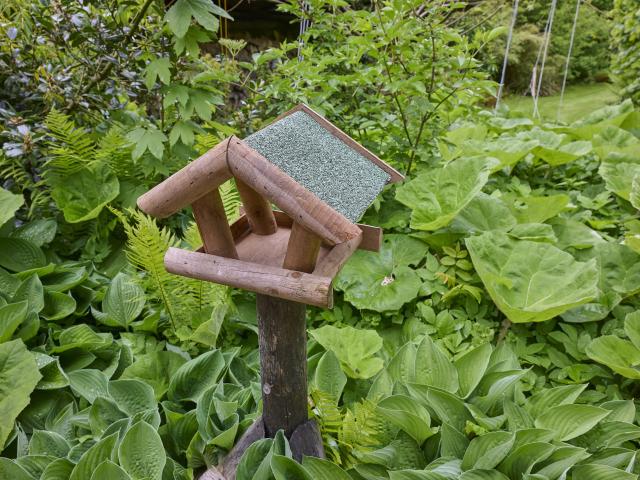 Jardin