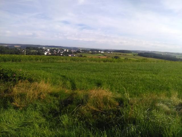 Direkte Umgebung (<1 km)