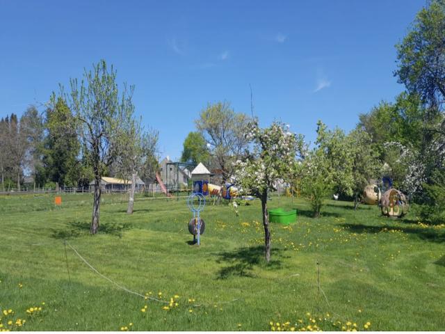 Ausstattung und Service des Ferienhauses