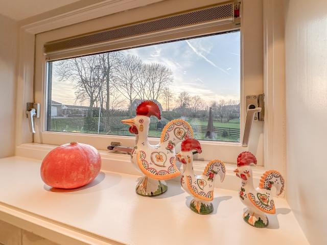 Ambiente / Nahaufnahme