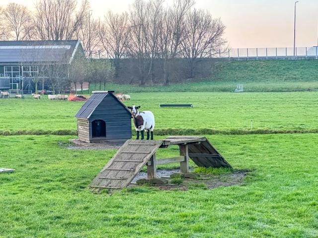 Aussicht vom Ferienhaus