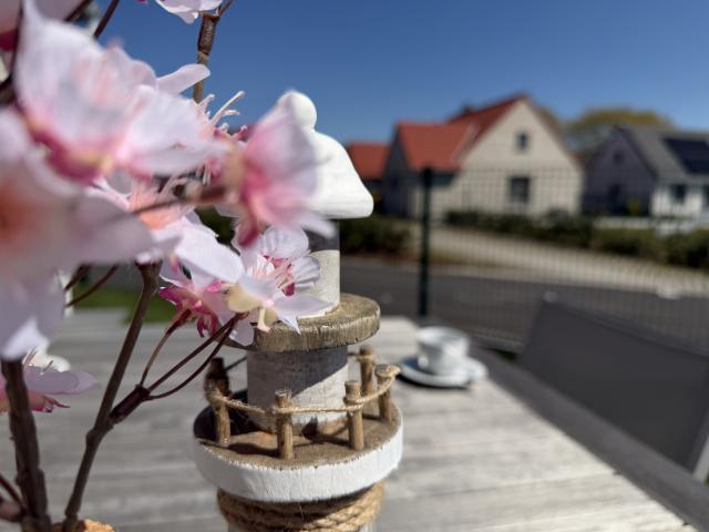 Ambiance / Close-up