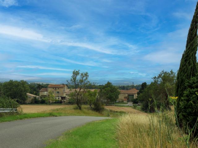 Immediate Surroundings (<1 km)