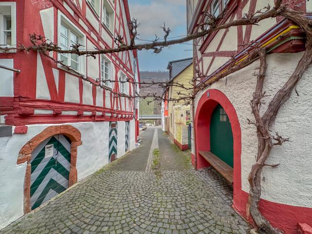 Directe omgeving (<1 km)