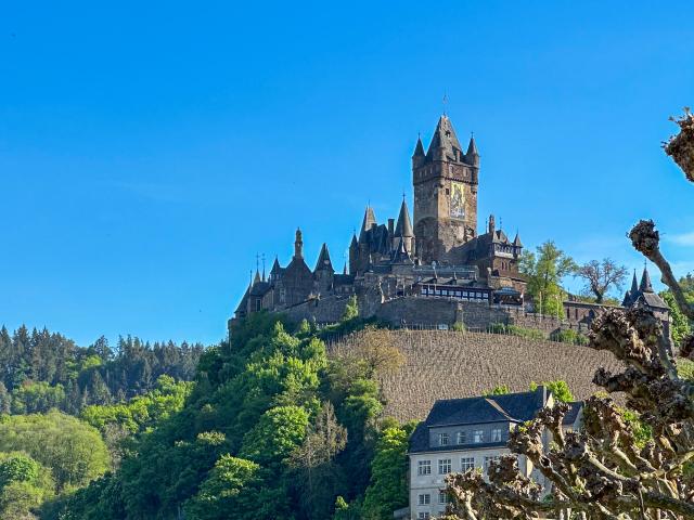 Immediate Surroundings (<1 km)