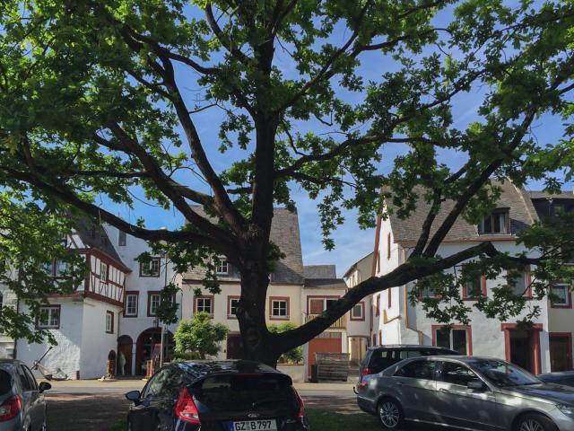 Exterieur vakantiehuis