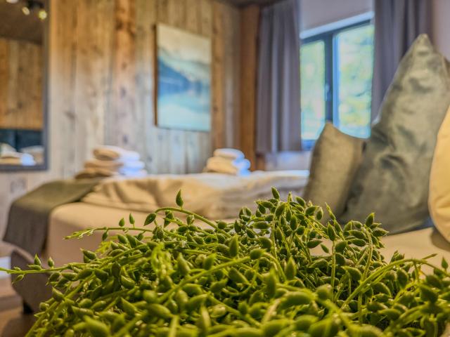 Ambiance / plan rapproché