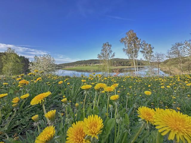 Immediate Surroundings (<1 km)