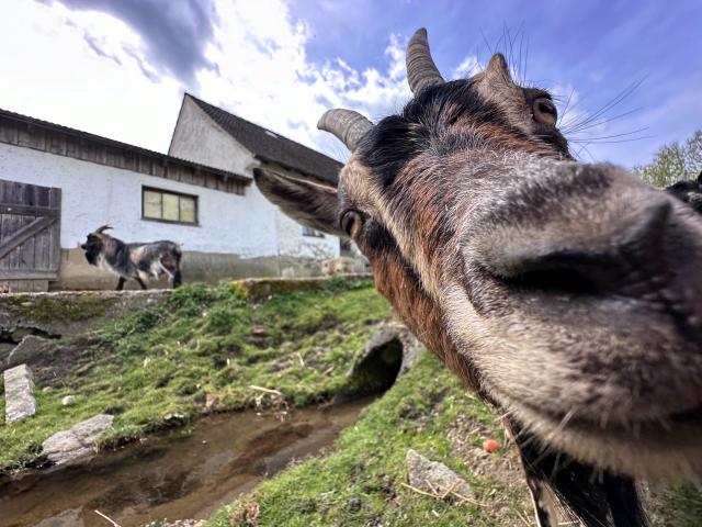 Immediate Surroundings (<1 km)