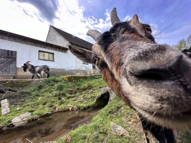 A proximité directe (<1 km)