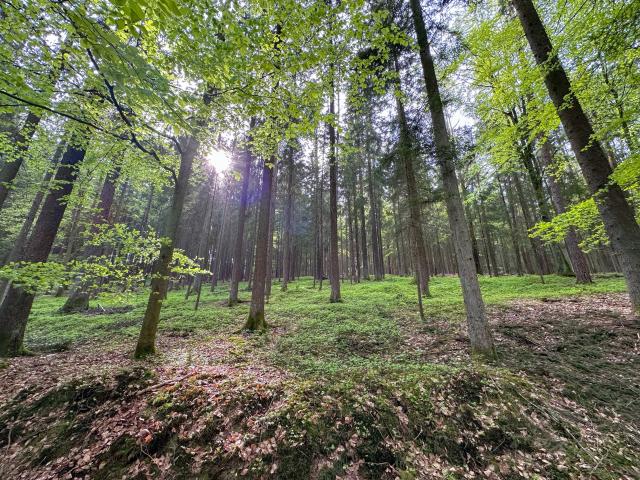 Dans la région (>5 km)
