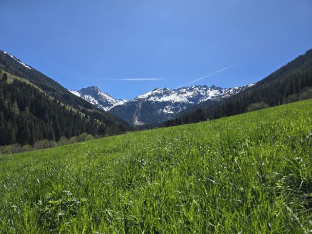 View from Holiday Home