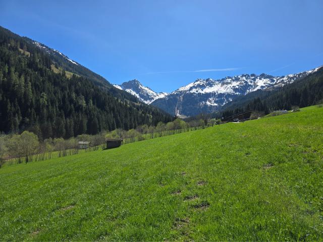 Aussicht vom Ferienhaus