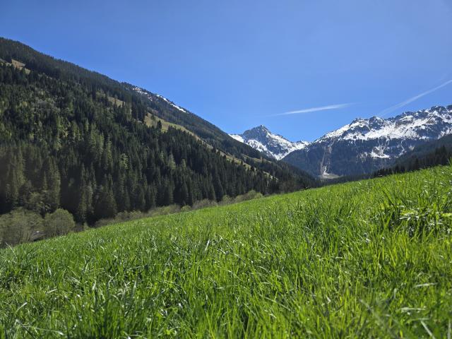 Aussicht vom Ferienhaus